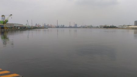 いただきました。