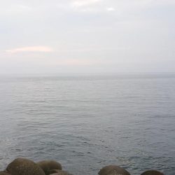 淡路タチウオ調査〜活性は高いぞ！