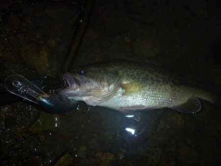 強い風がチャンス