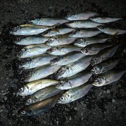 やっぱり下げ潮！