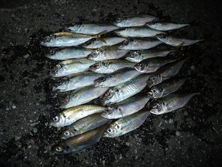 やっぱり下げ潮！