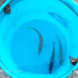 ファミリーで少し釣行