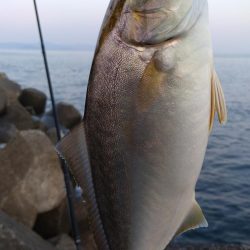 夕マズメショアジギング