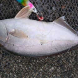 ショアジギ3目釣り