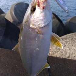 台風後の海は？
