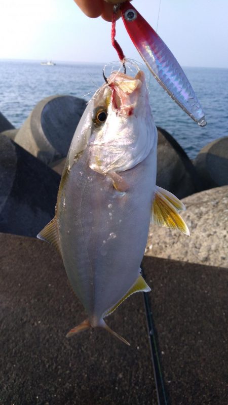 台風後の海は？
