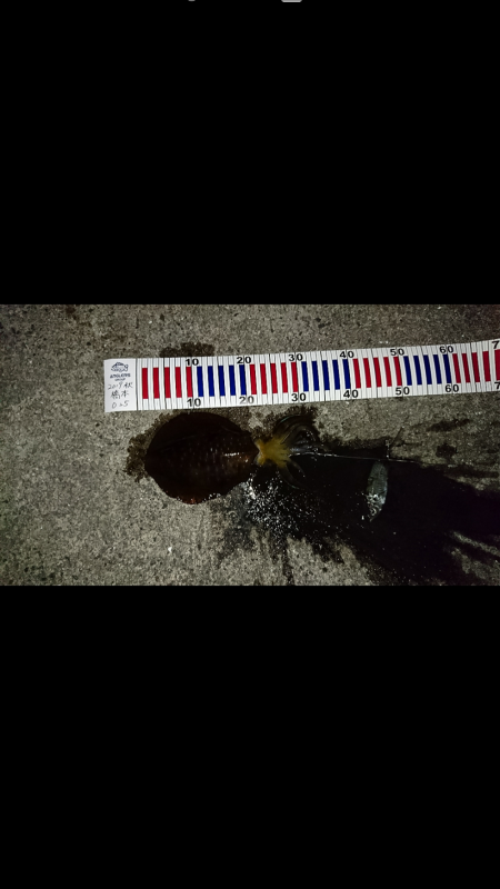 久しぶりの釣行