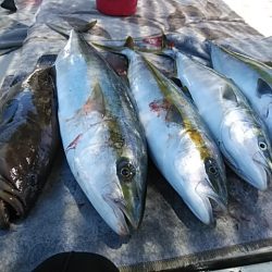 大物釣果速報！●光義丸：平戸市早福港