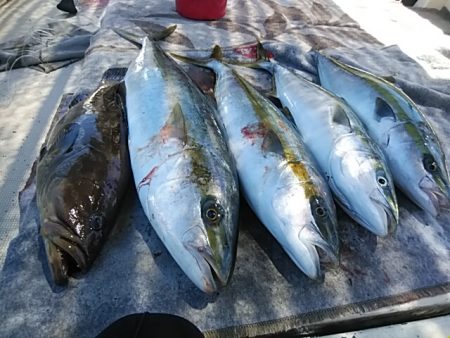 大物釣果速報！●光義丸：平戸市早福港