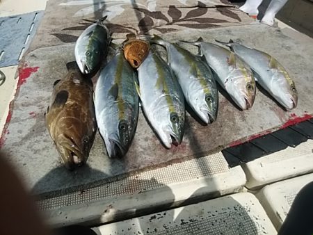 大物釣果速報！●光義丸：平戸市早福港