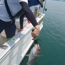 遊漁船 ニライカナイ 釣果