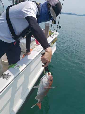 遊漁船 ニライカナイ 釣果