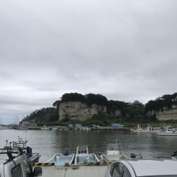 塩釜 ちょい投げ、サビキ