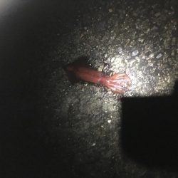 なかなか厳しい