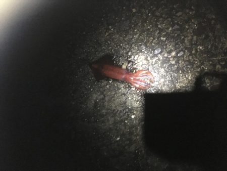 なかなか厳しい