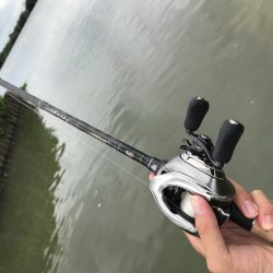 連日のバス釣り