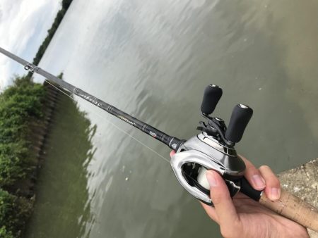 連日のバス釣り