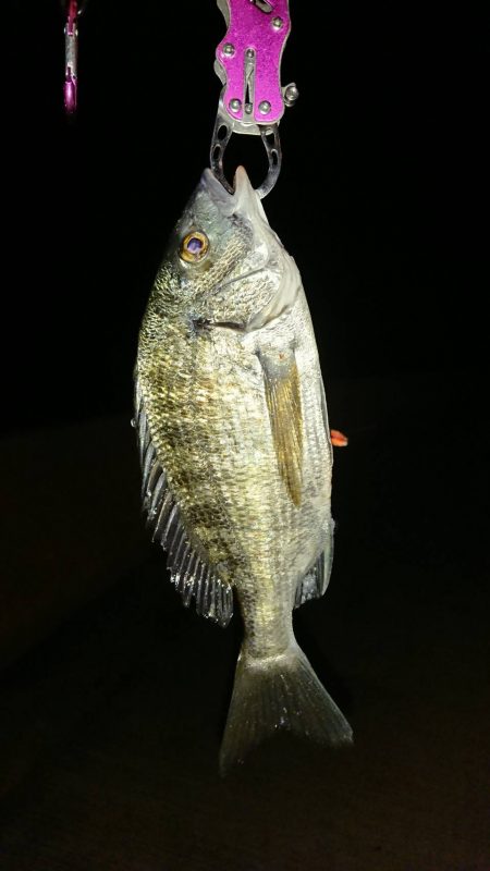 いつもの場所で5種目