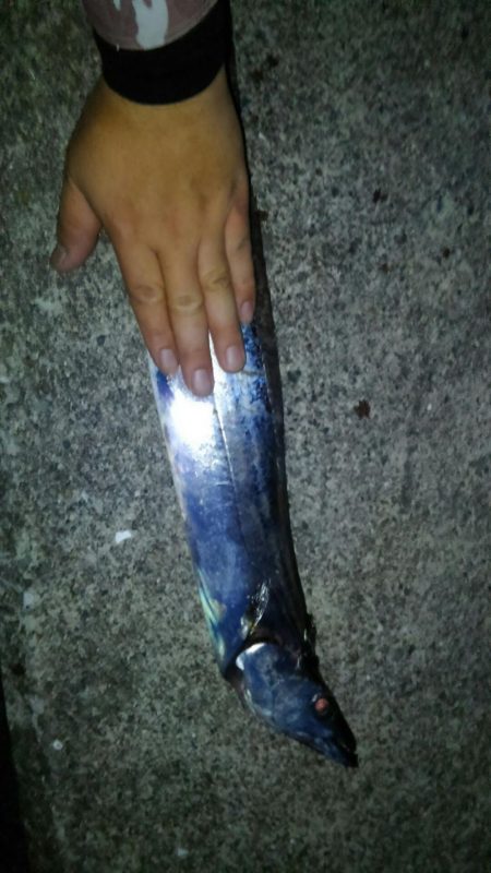 いざ、サーベル狩りへ