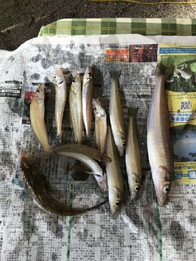 キャンプで投げ釣り