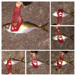 アジンガー1840〜1933 2105〜2140