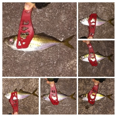 アジンガー1840〜1933 2105〜2140