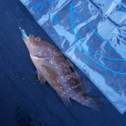 久しぶりの釣行です