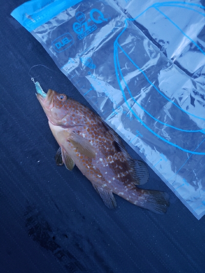 久しぶりの釣行です