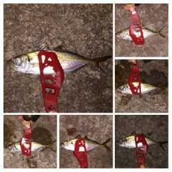 アジンガー1910〜2130