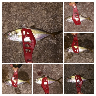 アジンガー1910〜2130