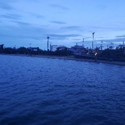 久しぶりのバスフィッシング‼️