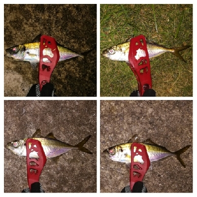 アジンガー1900〜1940 2110〜2150