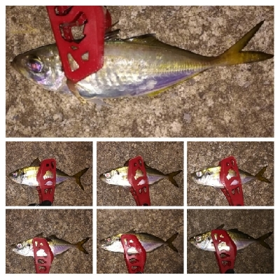 アジンガー1900〜2032