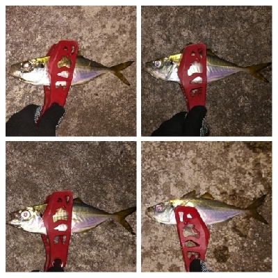 アジンガー1900〜2025