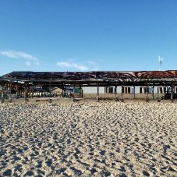 連日のキス釣り