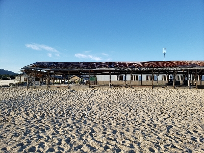 連日のキス釣り