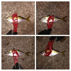 アジンガー1900〜1930 2105〜2140