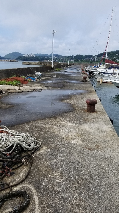 チヌ狙いでしたが