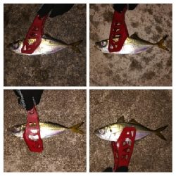 アジンガー1840〜1950