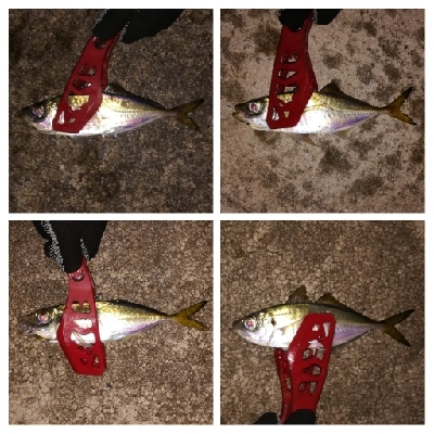 アジンガー1840〜1950