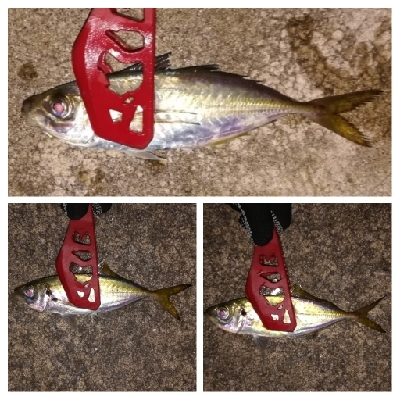 アジンガー1715〜1930