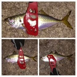 アジンガー1840〜1920