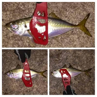 アジンガー1840〜1920