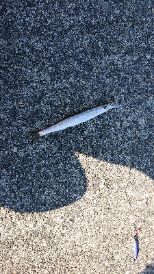 水軒へ刀狩り！！