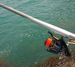 久しぶりのフカセ