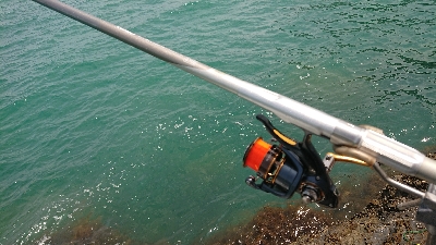 久しぶりのフカセ