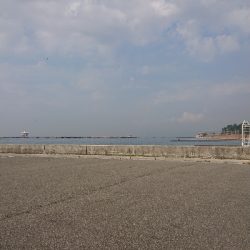 ツバスを求めて…え？