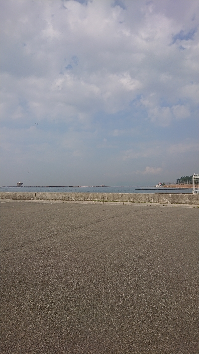 ツバスを求めて…え？