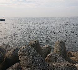 久しぶりにツバス