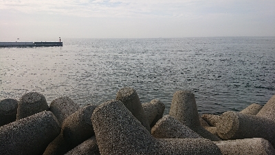 久しぶりにツバス